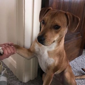 Meet your Posher, Dan